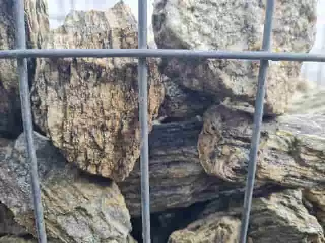 fatörzs kvarcit gabion kövek fatörzs kvarcit gabion kövek
